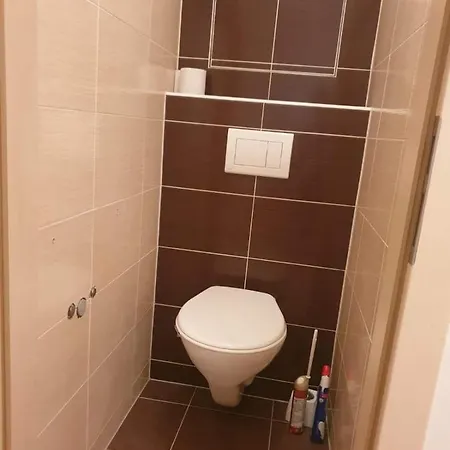 Terasy Apartman Se Saunou Železná Ruda Exterior foto